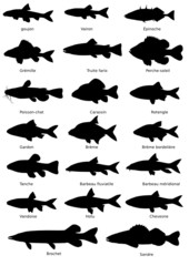 Poisson eau douce