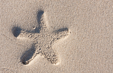 Starfish print on the beach