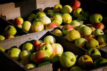 Caisses de pommes sur un marché