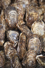 huîtres en vrac