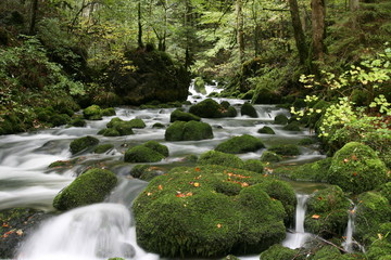 Torrent du Cirque de Consolation