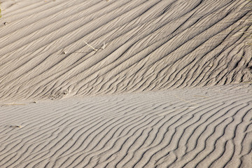 Sand dune with same marram grass