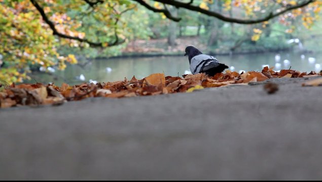 nature couleurs