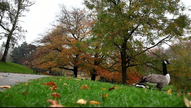 nature couleurs