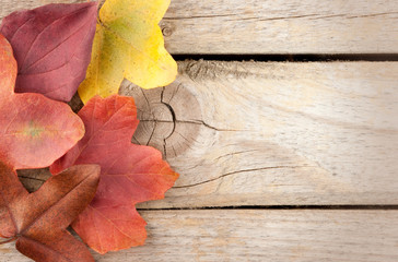 Wood background with autumn leaves