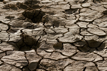 Cracked lifeless soil
