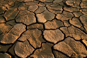 Cracked lifeless soil