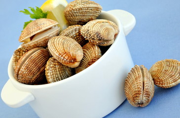 Fresh mediterranean clams