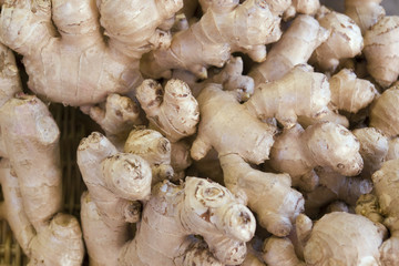 full frame ginger background