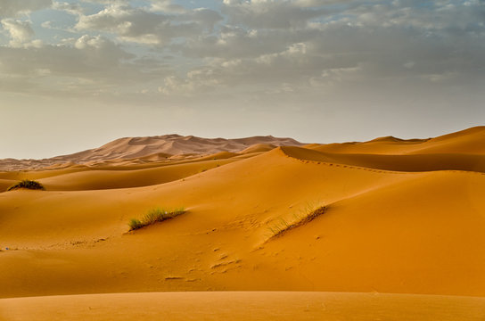 sand dunes at Erg Chebbi, Morocco © luisapuccini