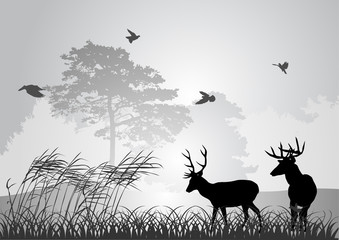 two black deer silhouettes in forest