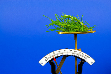 Kräuter (santolina virdis)auf einer Waage © Martina Osmy