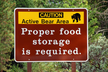Bear Warning