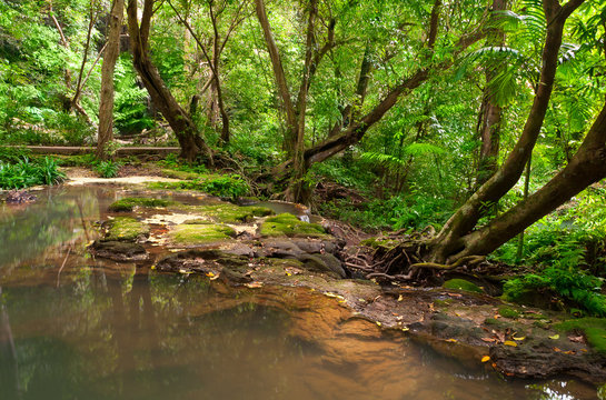 Fototapeta Tropical forest waterfalls.