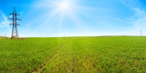 Fototapeta na wymiar Pole wiosną rano panorama z błękitne niebo i słońce