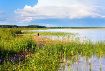 Summer rushy lake