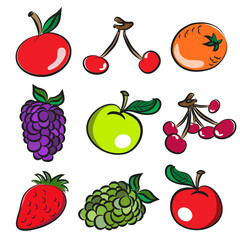 Fruits Vector Illustration