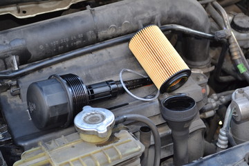Olio motore