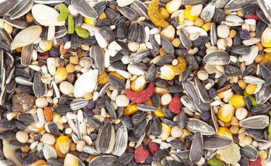 Bird food background