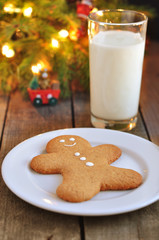 Gingerbread cookie and milk for Santa