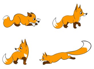 Cartoon fox