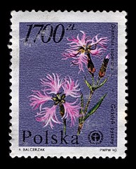 Postage stamp.