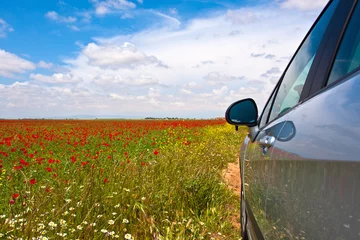 Papier Peint photo Campagne The field of spring flowers and poppies and car in Andalusia reg