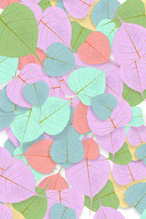 Fototapeta na wymiar colorful leaf background