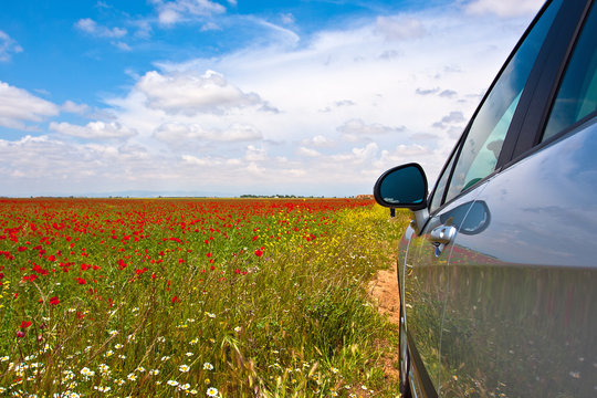 The field of spring flowers and poppies and car in Andalusia reg