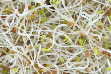 Sprouted seeds