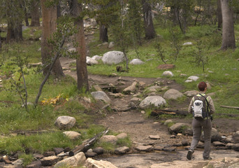 walking in Tuolumne - California
