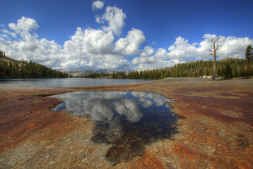Cathedral Lake - Tuolumne - Yosemite Park - Claifornia