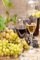 wine sampling