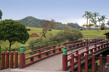 Fototapeta premium red bridge