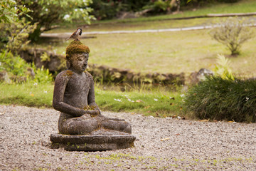 Buddha and a little bird