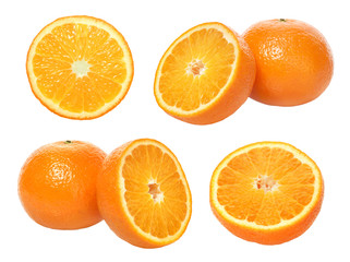 set of tangerine on white background