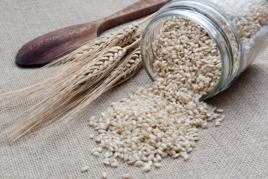 Arroz integral encima de una cuchara de madera