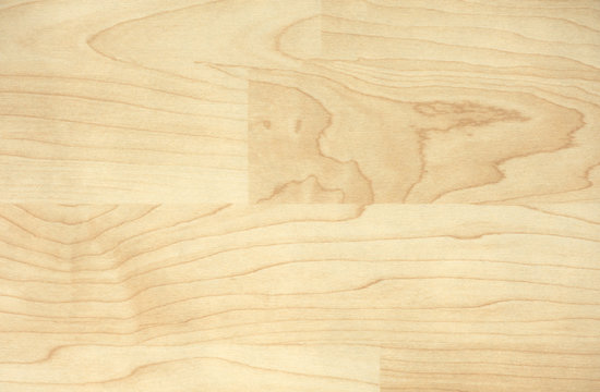 Wood texture. Maple