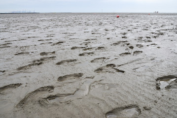 The Wadden Sea