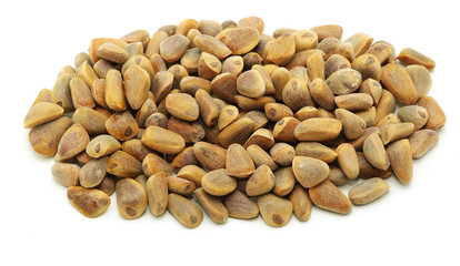 cedar nuts
