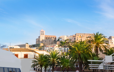 Fototapeta na wymiar Ibiza town of Eivissa with palm trees