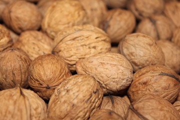 walnüsse