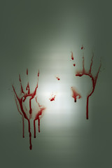 Bloody hands