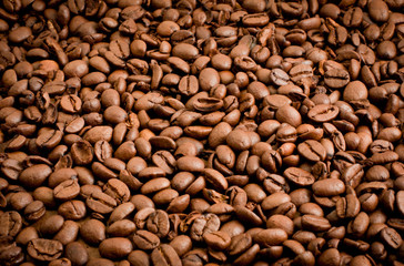 Coffee beans spread out