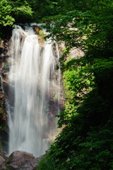 Obraz premium あもうなかたき