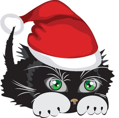 Kitten wearing a Santa Claus hat.  Vector illustration.