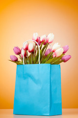 Tulips in the bag against gradient background