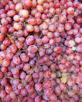 earth treasures, red grapes