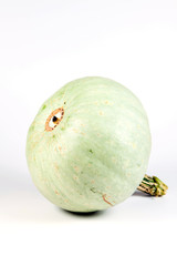 Green Pumpkin isolated on white background