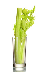 fresh green celery in a glass isolated on white